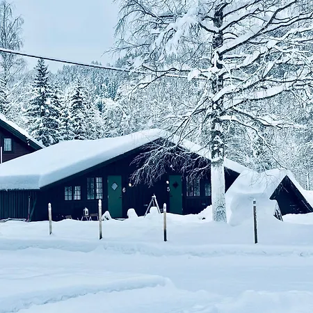 Pen Nær ål Liagardane