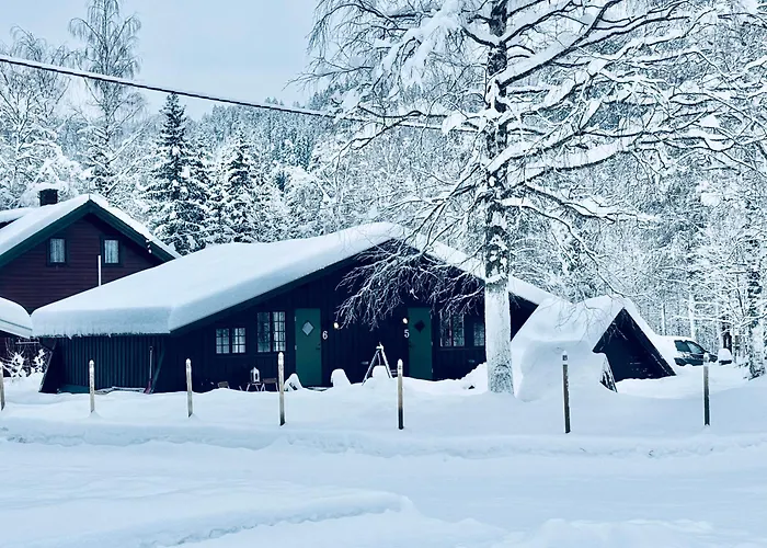 Pen Nær ål Liagardane