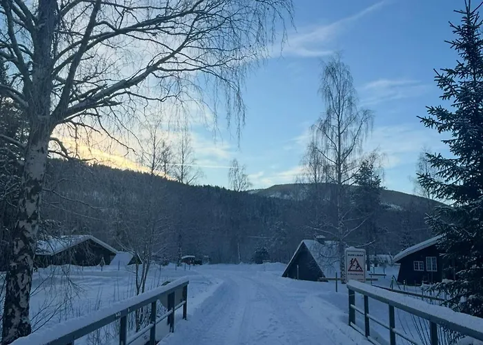 Pen Nær ål Feriehus Liagardane